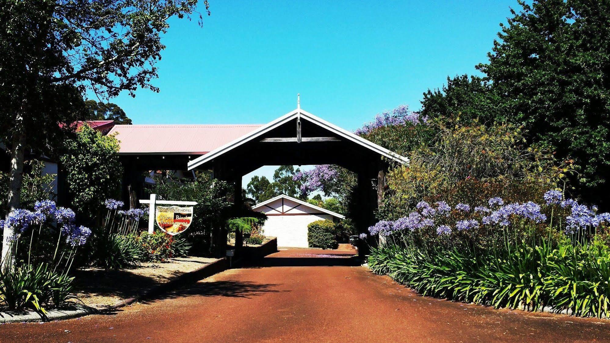 Karri Forest Motel Pemberton Exterior photo